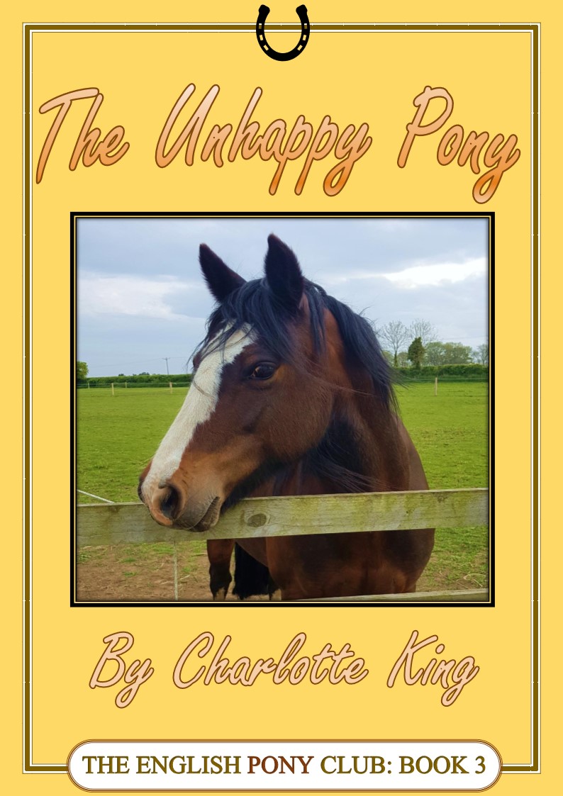 Cover of The Unhappy Pony